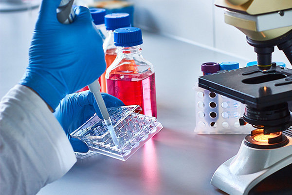 Vaccine Companion Animal