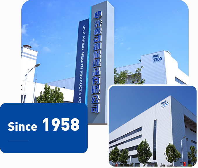 Qilu Animal Health Qilu Animal Health