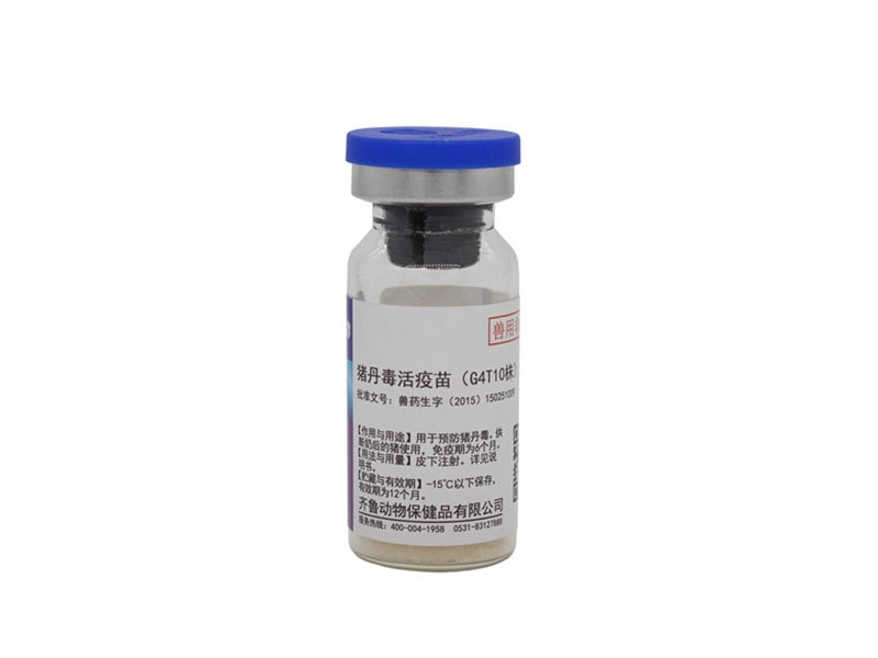 Swine Erysipelas Vaccine,  Live(Strain G4T10)
 
    Swine Erysipelas Vaccine,  Live(Strain G4T10)
