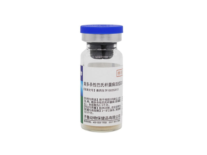 Avian Pasteurella multocida Vaccine, Live(Strain G190E40)
 
    Avian Pasteurella multocida Vaccine, Live(Strain G190E40)