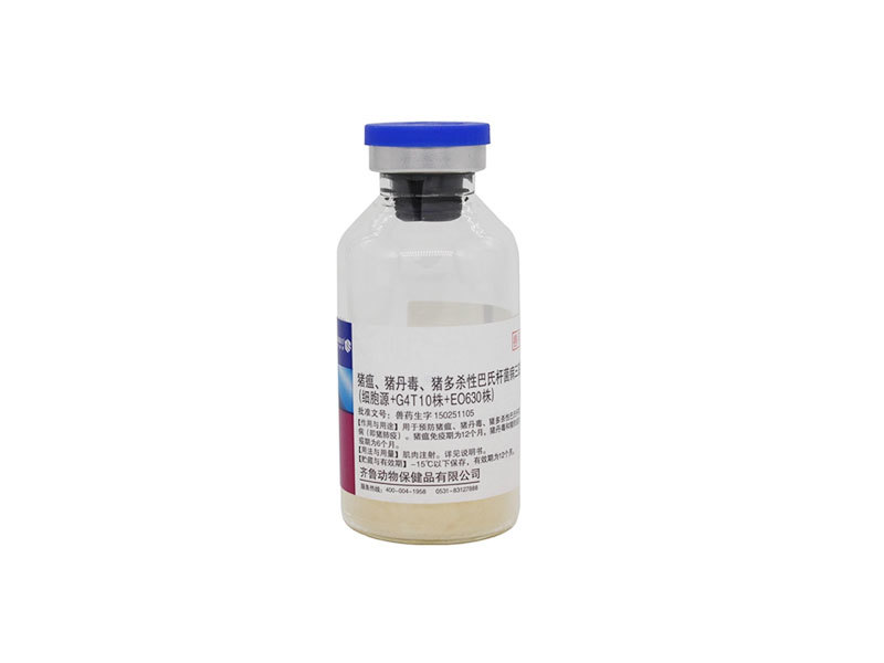 Triple live vaccine of swine fever, swine erysipelas and swine pasteurellosis multocida (cell source+G4T10 strain+E0630 strain)
 
    Triple live vaccine of swine fever, swine erysipelas and swine pasteurellosis multocida (cell source+G4T10 strain+E0630 strain)