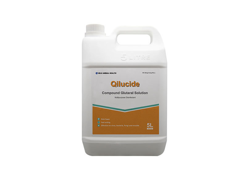 Qilucide
 
    Qilucide